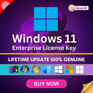 Windows 11 Enterprise Lifetime License Key.