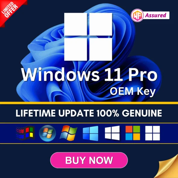 Windows 11 Pro License OEM Key.